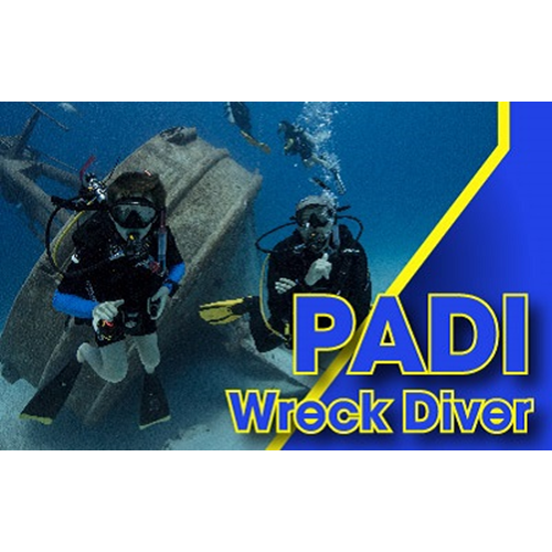 Wreck Diver